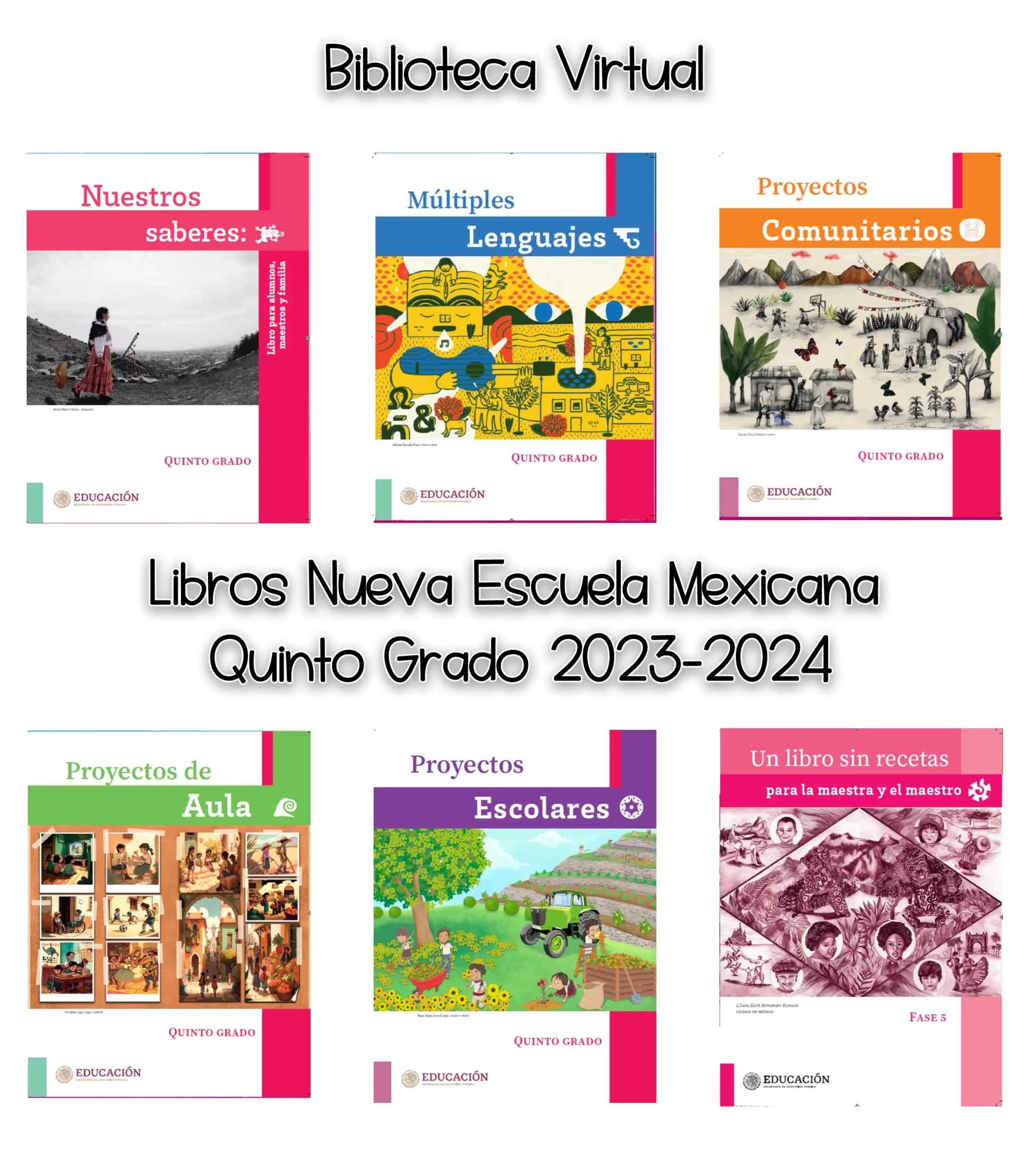 Libros Nueva Escuela Mexicana Quinto Grado